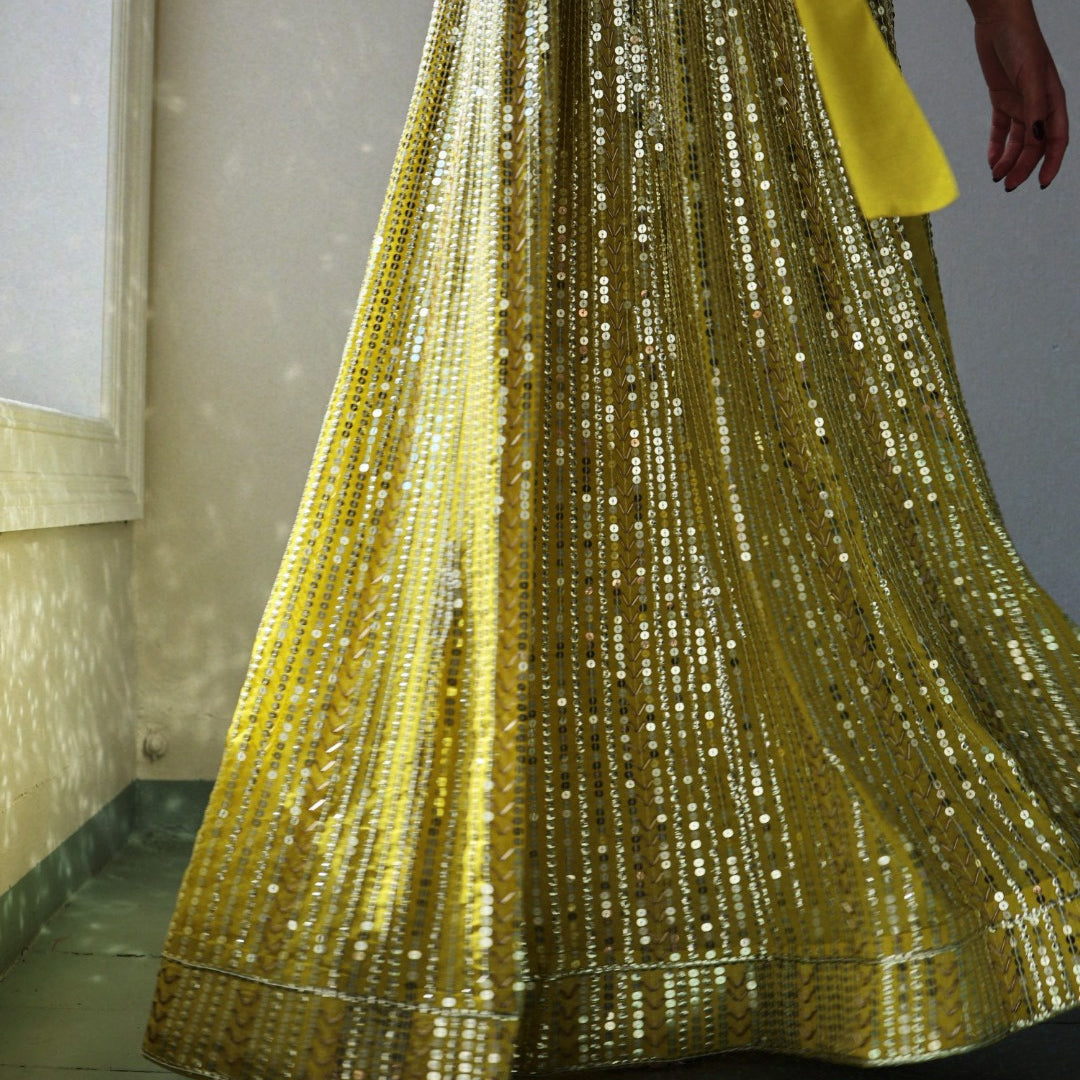 Extraordinary Skirt - Yellowish & Silver